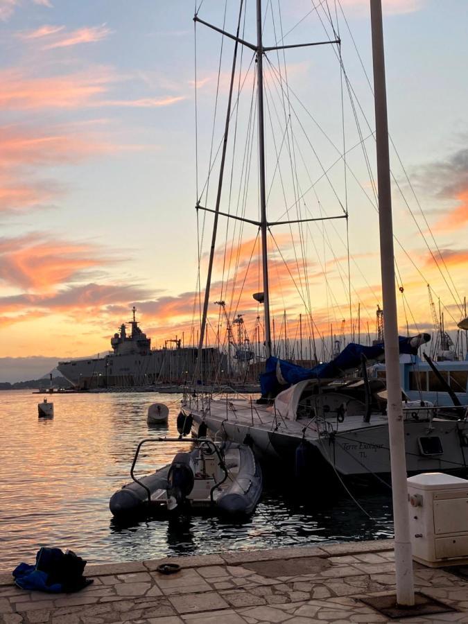 Marinca Du Port De Toulon